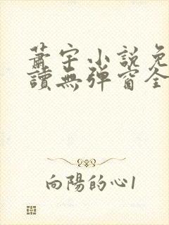 萧宇小说免费阅读无弹窗全文