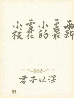 小雪小柔两个大校花的最新章节