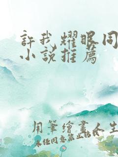 许我耀眼同人文小说推荐