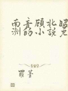 南音顾北昭秦砚洲的小说免费阅读