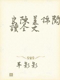 良陈美锦阅读阅读全文