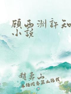 顾西洲许知意的小说