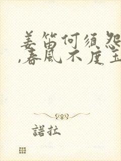 姜笛何须怨杨柳,春风不度玉门关