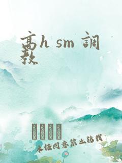 高h sm 调教