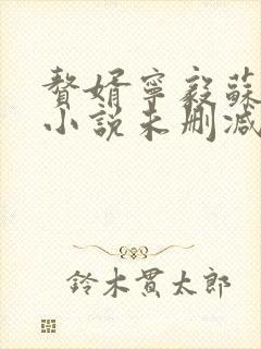 赘婿宁毅苏檀儿小说未删减版