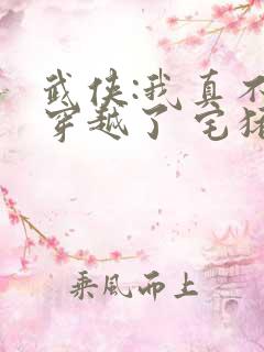 武侠:我真不想穿越了 宅猪