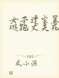 女子遭家暴驾车逃跑丈夫死亡