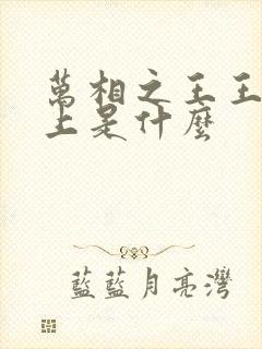 万相之王王境之上是什么