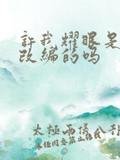 许我耀眼是小说改编的吗