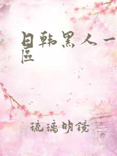 日韩黑人一区二区
