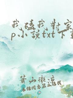 我磕我对家的cp小说txt下载全文