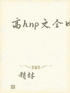 高hnp文全肉