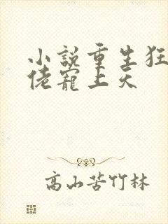 小说重生狂妻大佬宠上天