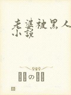 老婆被黑人操的小说