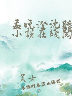 孟晚澄沈听澜的小说在线阅读