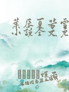 叶辰夏若雪正版小说全文免费阅读