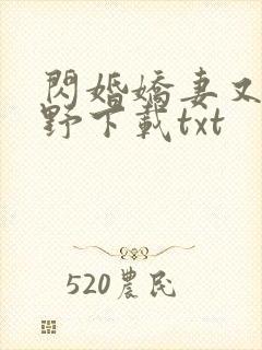 闪婚娇妻又甜又野下载txt