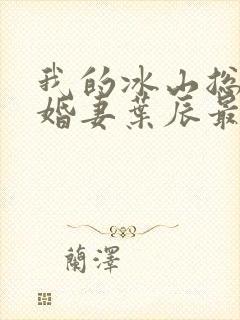 我的冰山总裁未婚妻叶辰最新