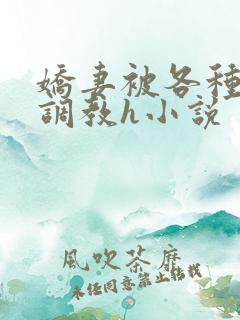 娇妻被各种刑具调教h小说