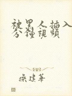 被黑人插入30分钟视频