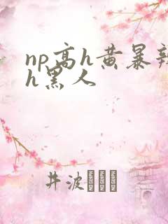 np高h黄暴辣h黑人