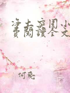 净土突围小说免费阅读全文最新章节