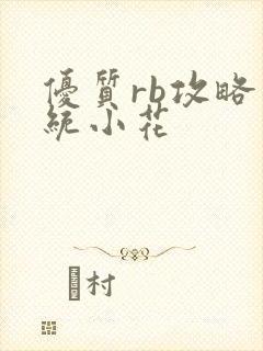 优质rb攻略系统小花