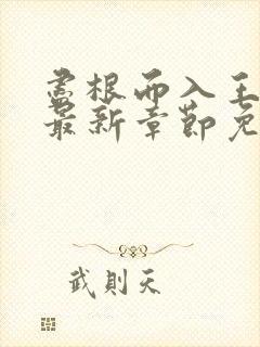 尽根而入王夫人最新章节免费阅读