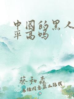 中国的黑人犯罪率高吗