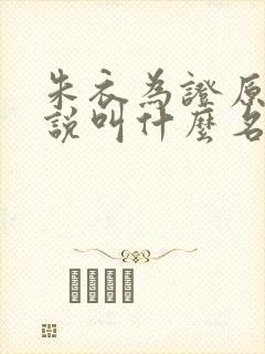 朱衣为证原著小说叫什么名字