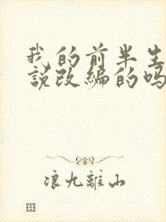 我的前半生是小说改编的吗
