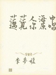 茫茫人海中让我遇见你原唱完整版