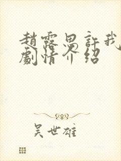 赵露思许我耀眼剧情介绍