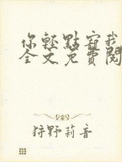 你轻点宠我小说全文免费阅读