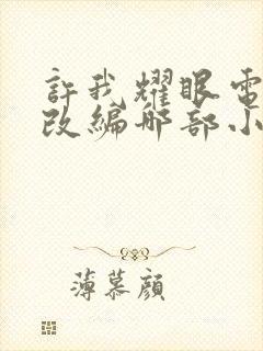 许我耀眼电视剧改编哪部小说