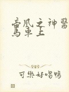 帝凰之神医弃妃马车上