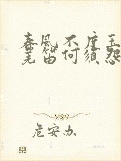 春风不度玉门关羌笛何须怨杨柳