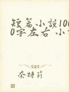 短篇小说1000字左右 小说