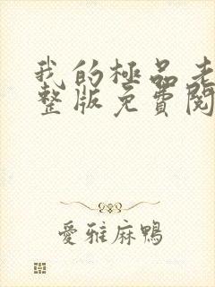 我的极品老婆完整版免费阅读