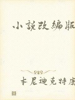 小说改编版