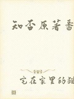 知否原著番外篇