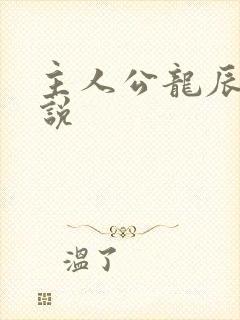 主人公龙辰的小说