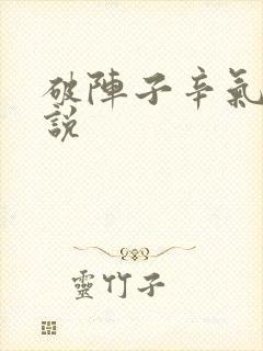 破阵子辛气极小说