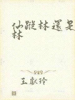 仙踪林还是仙踪林