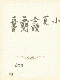 再无今夏小说免费阅读