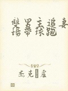 双男主追妻火葬场带球跑