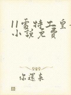 11处特工皇妃小说免费