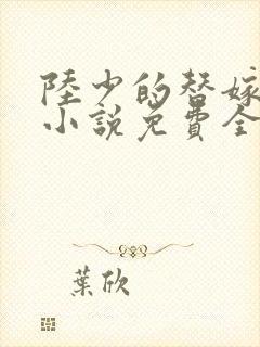 陆少的替嫁罪妻小说免费全本读