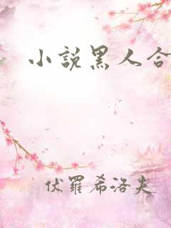 小说黑人合集h