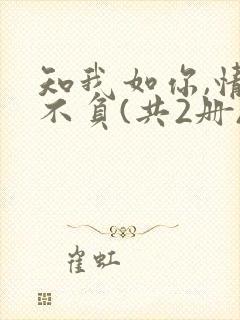 知我如你,情深不负(共2册) 叶落无心